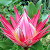 Find Florina Stevenson Phone Number, Location, Email, and more on Intelius
