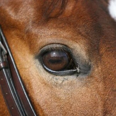 Find Fran L Doos Phone Number, Location, Email, and more on Intelius