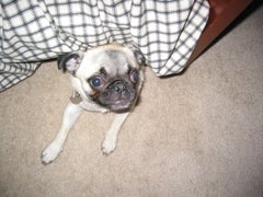 Find Frank Luis James Phone Number, Location, Email, and more on Intelius