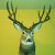 Find Frank William Tuttle Phone Number, Location, Email, and more on Intelius