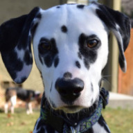 Find Gail Susan Smith Phone Number, Location, Email, and more on Intelius