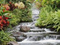 Find Gary Adams Phone Number, Location, Email, and more on Intelius