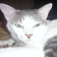 Find Gary Paul Heinen Phone Number, Location, Email, and more on Intelius