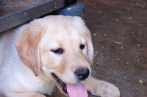 Find Gary Paul Simon Phone Number, Location, Email, and more on Intelius