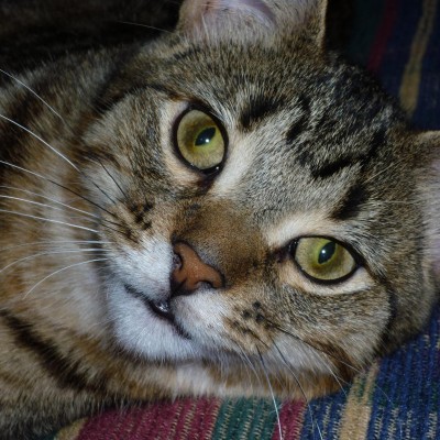 Find Gary Dennis Thein Phone Number, Location, Email, and more on Intelius