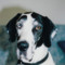 Find Gerald P Dunham Phone Number, Location, Email, and more on Intelius