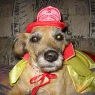 Find Gerri Lynn Davis Phone Number, Location, Email, and more on Intelius
