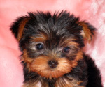 Find Gerri Lynne King Phone Number, Location, Email, and more on Intelius