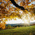 Find Gina Marie Baca Phone Number, Location, Email, and more on Intelius