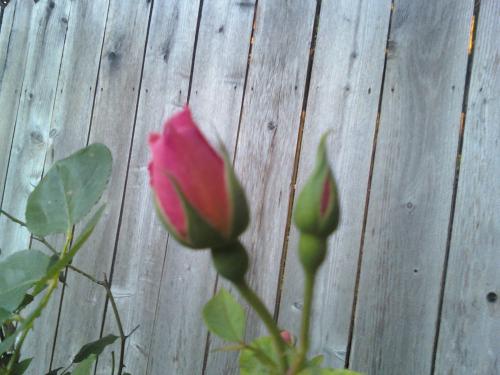 Find Ginger N Clay Phone Number, Location, Email, and more on Intelius