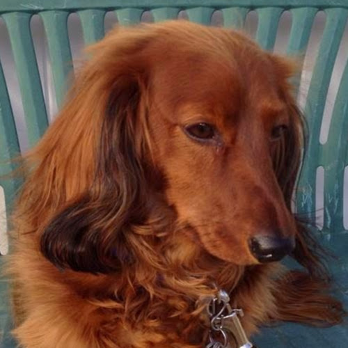 Find Gladys Yvonne Dunyo Phone Number, Location, Email, and more on Intelius
