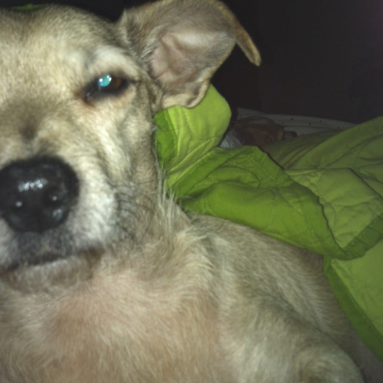 Find Glenn Tuttle Phone Number, Location, Email, and more on Intelius