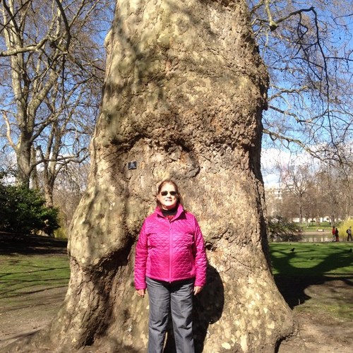 Find Grace C Smith Phone Number, Location, Email, and more on Intelius
