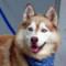 Find Grace Madison Smith Phone Number, Location, Email, and more on Intelius