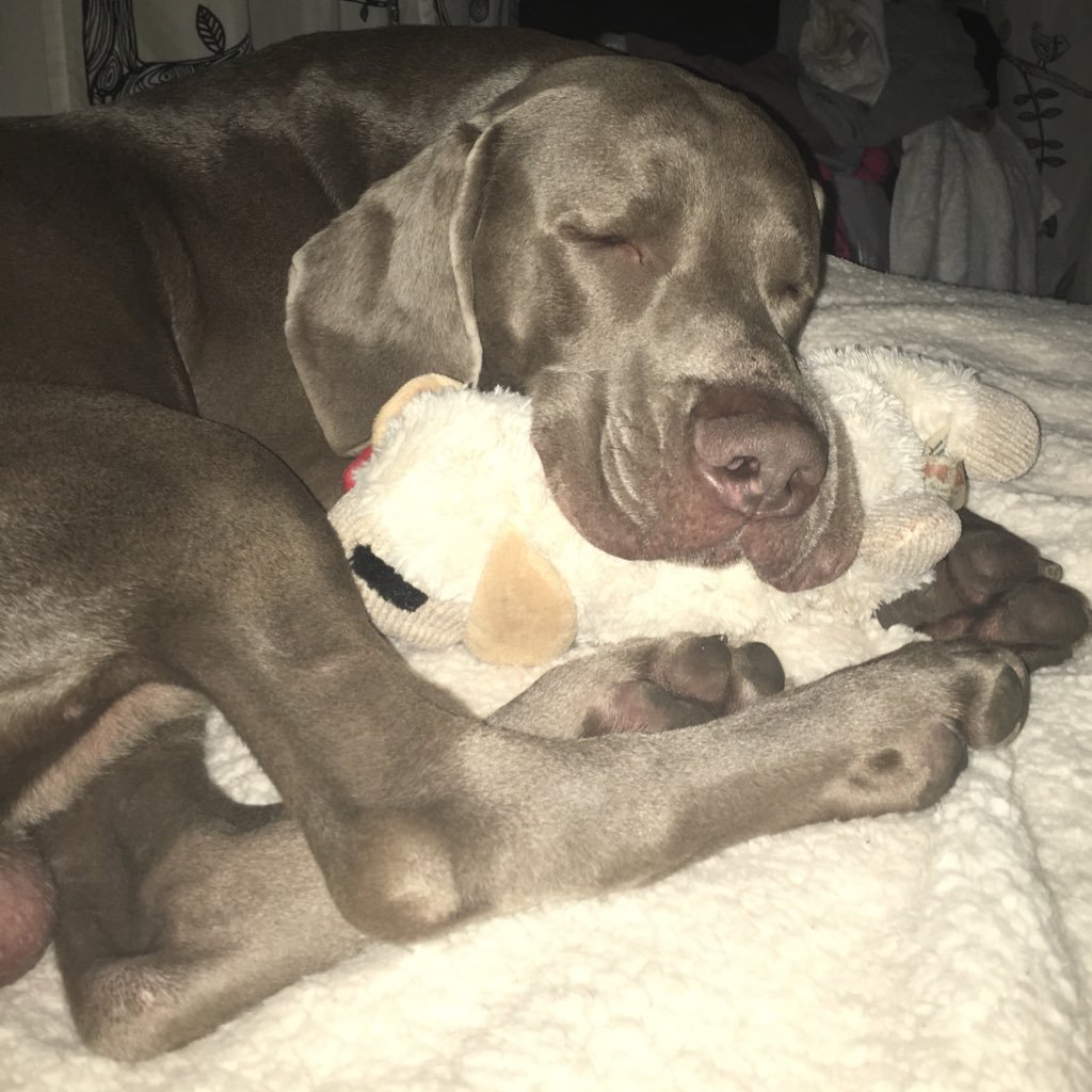 Find Gretchen B Jungermann Phone Number, Location, Email, and more on Intelius