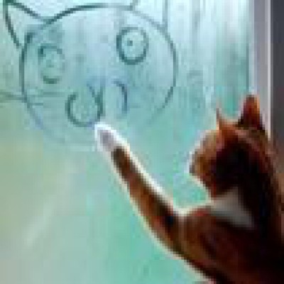 Find Gretchen Marie Pearson Phone Number, Location, Email, and more on Intelius