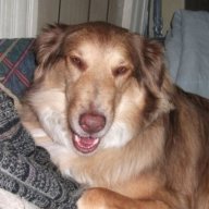 Find Guy Diperna Phone Number, Location, Email, and more on Intelius