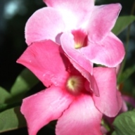 Find Heather Jolene Burt Phone Number, Location, Email, and more on Intelius