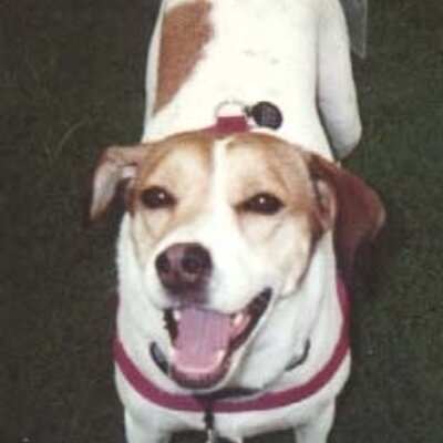 Find Heather Lynn Moore Phone Number, Location, Email, and more on Intelius