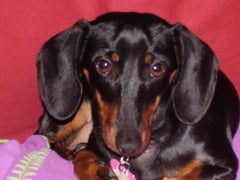 Find Heather W Putnam Phone Number, Location, Email, and more on Intelius