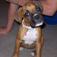 Find Heather Thompson Ross Phone Number, Location, Email, and more on Intelius