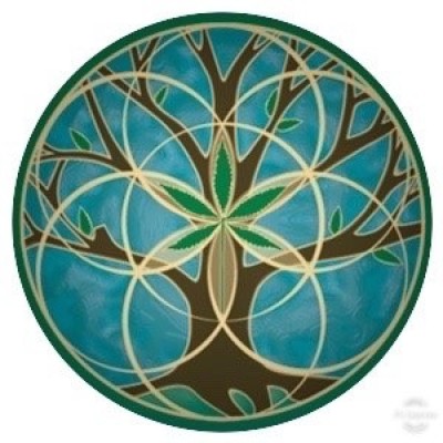 Find Heather Alice Smith Phone Number, Location, Email, and more on Intelius