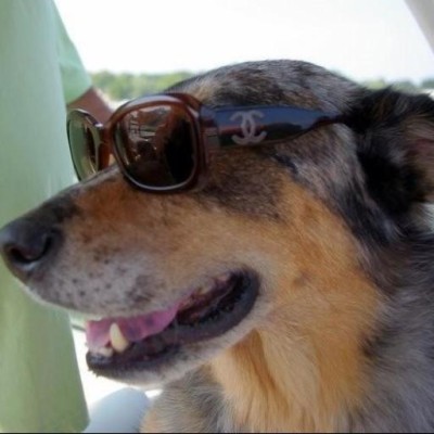 Find Heather A Steall Phone Number, Location, Email, and more on Intelius