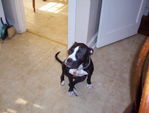 Find Helen Christine Phillips Phone Number, Location, Email, and more on Intelius