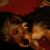 Find Ikamie Haughton Taft Phone Number, Location, Email, and more on Intelius