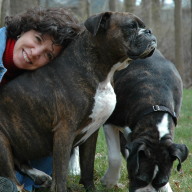 Find Ilene Plotkin Phone Number, Location, Email, and more on Intelius