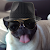 Find Ivan L Denman Phone Number, Location, Email, and more on Intelius