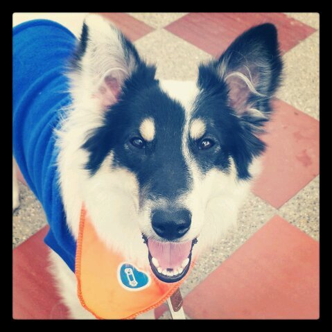 Find Ivan E Puerto Phone Number, Location, Email, and more on Intelius