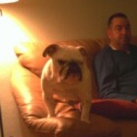 Find Jack Alan Grant Phone Number, Location, Email, and more on Intelius