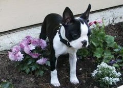 Find Jaime Michelle Hand Phone Number, Location, Email, and more on Intelius