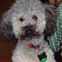 Find James E Bruning Phone Number, Location, Email, and more on Intelius