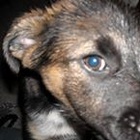 Find James Kenneth Hodgson Phone Number, Location, Email, and more on Intelius