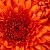 Find James C Hoffmann Phone Number, Location, Email, and more on Intelius