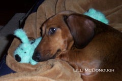 Find James Edward Mcdonough Phone Number, Location, Email, and more on Intelius