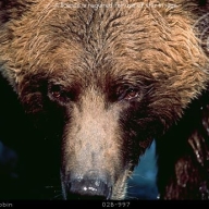 Find James A Smith Phone Number, Location, Email, and more on Intelius