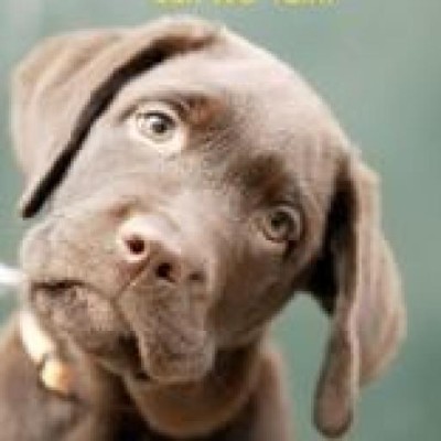 Find James Gage Wright Phone Number, Location, Email, and more on Intelius
