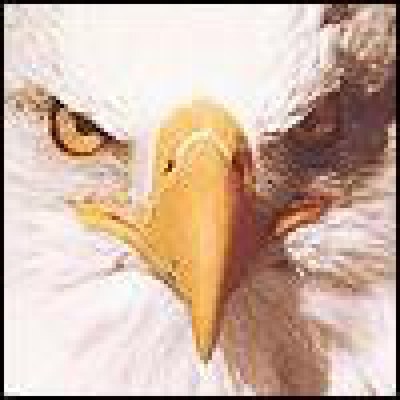 Find James Lawrence Zeeb Phone Number, Location, Email, and more on Intelius
