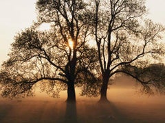 Find Jane Ellen Jamison Phone Number, Location, Email, and more on Intelius