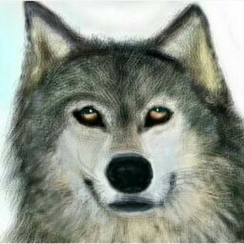 Find Jane Jones Wolfe Phone Number, Location, Email, and more on Intelius