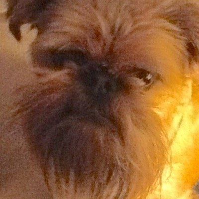Find Janet L Brazeau Phone Number, Location, Email, and more on Intelius