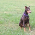 Find Janet L Capps Phone Number, Location, Email, and more on Intelius