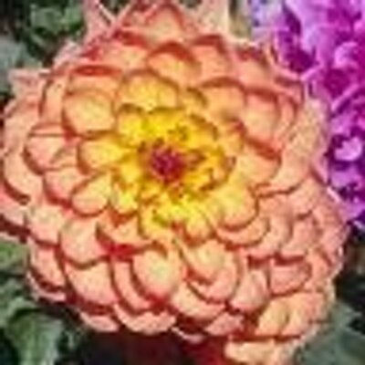 Find Janet L James Phone Number, Location, Email, and more on Intelius