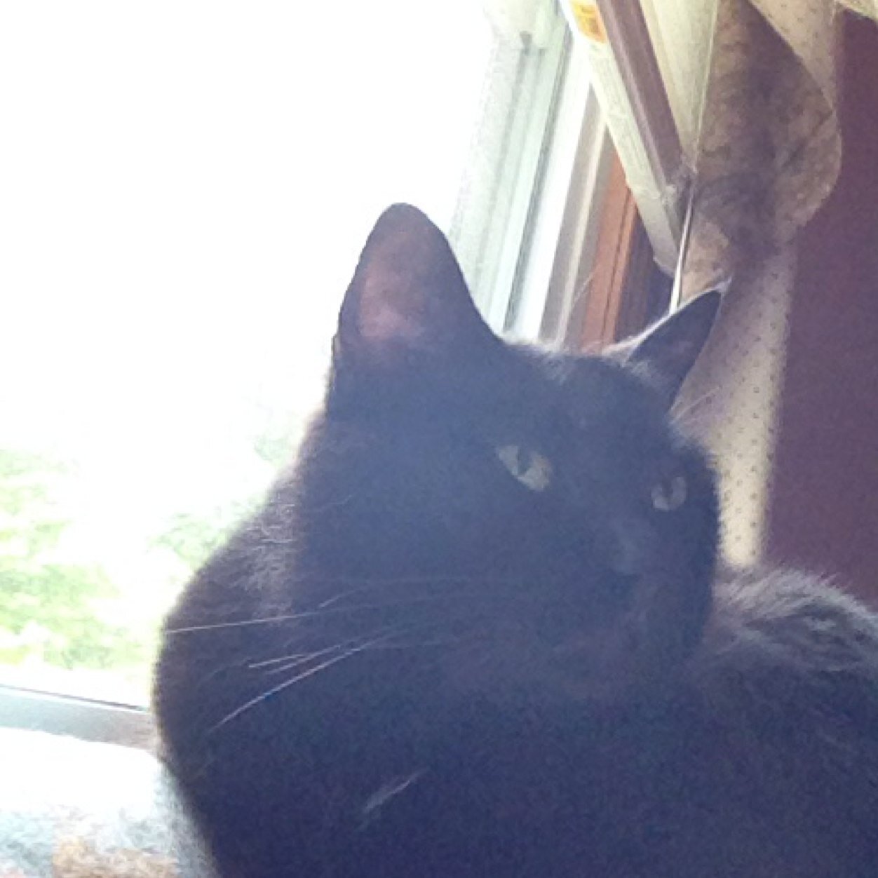 Find Janet M Labrie Phone Number, Location, Email, and more on Intelius