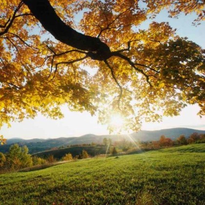 Find Janet Noblin Noel Phone Number, Location, Email, and more on Intelius