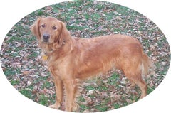 Find Janice Blakeney Bartlett Phone Number, Location, Email, and more on Intelius