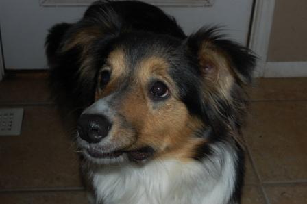 Find Janice Maxine Baxter Phone Number, Location, Email, and more on Intelius